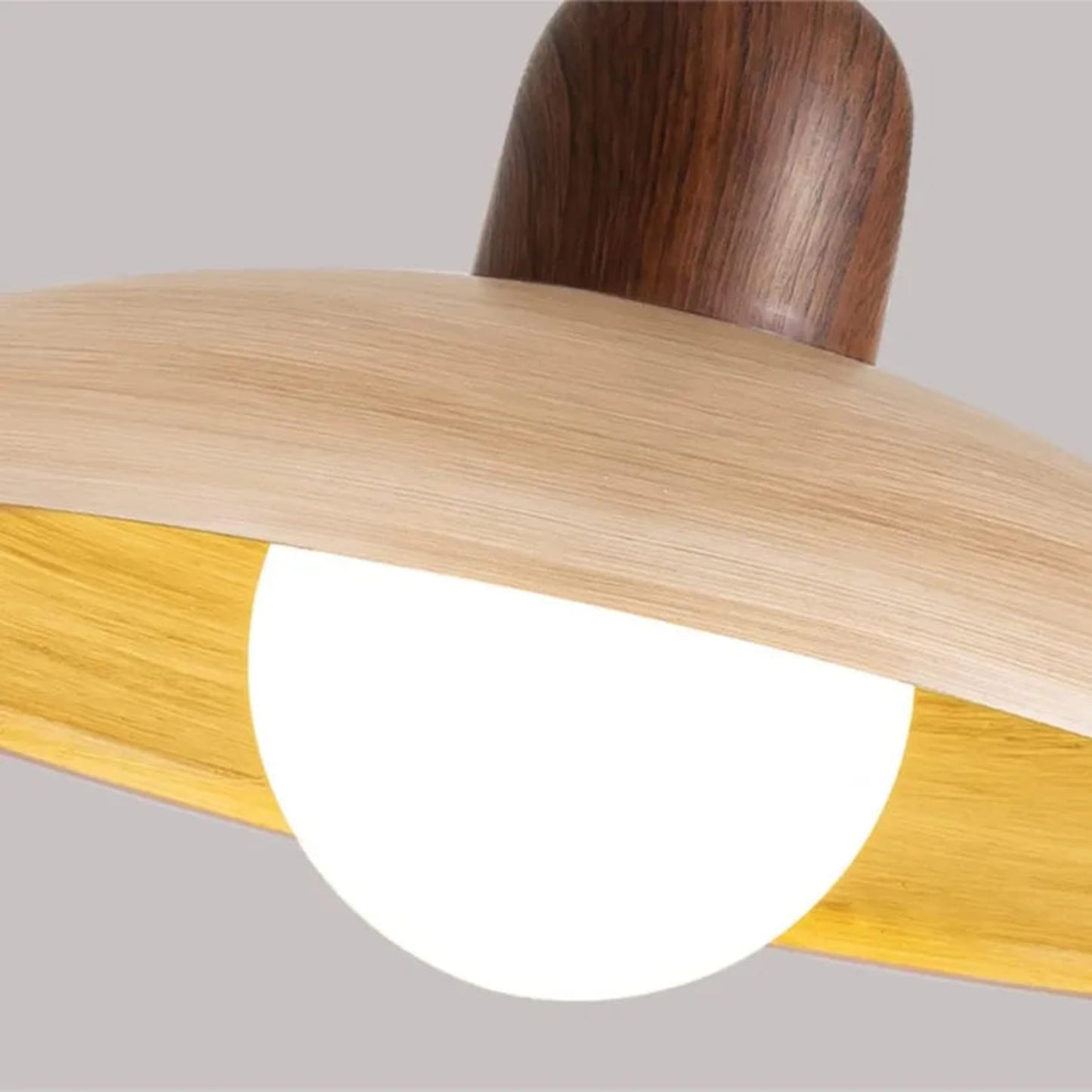 Scandinavian Iron LED Pendant Light