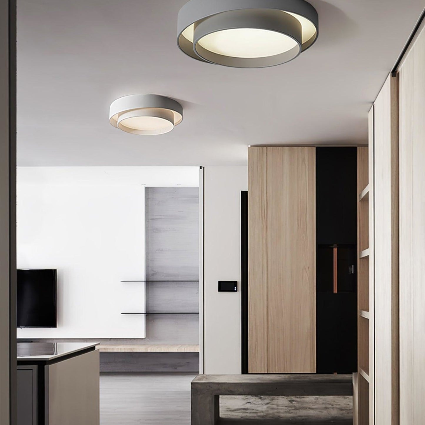 Modern Flush Mount LED Ceiling Light