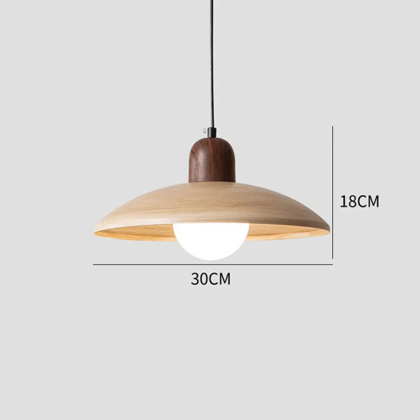 Scandinavian Iron LED Pendant Light