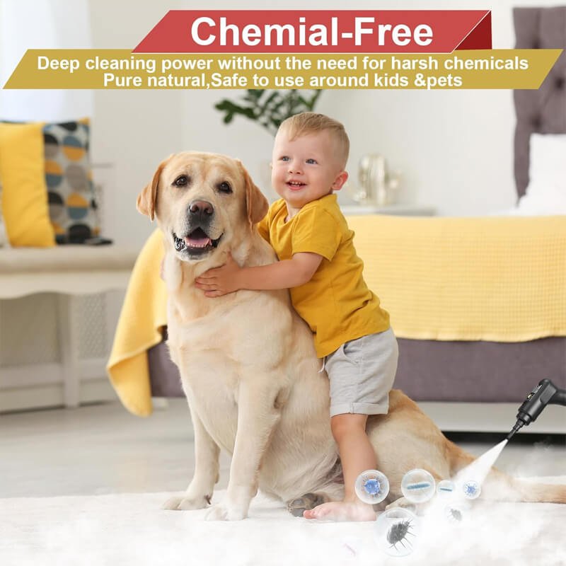 2500W High-Pressure Steam Cleaner with 4 Nozzles