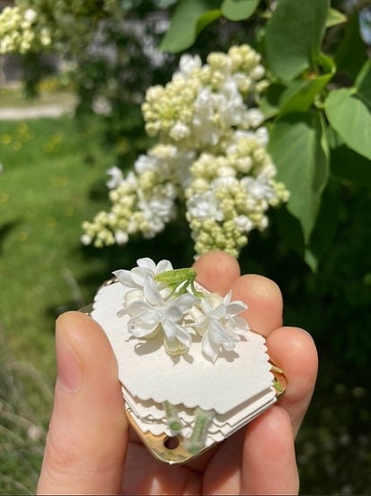 Mini Flower Press - Pocket Botanical Herbarium Keepsake Maker