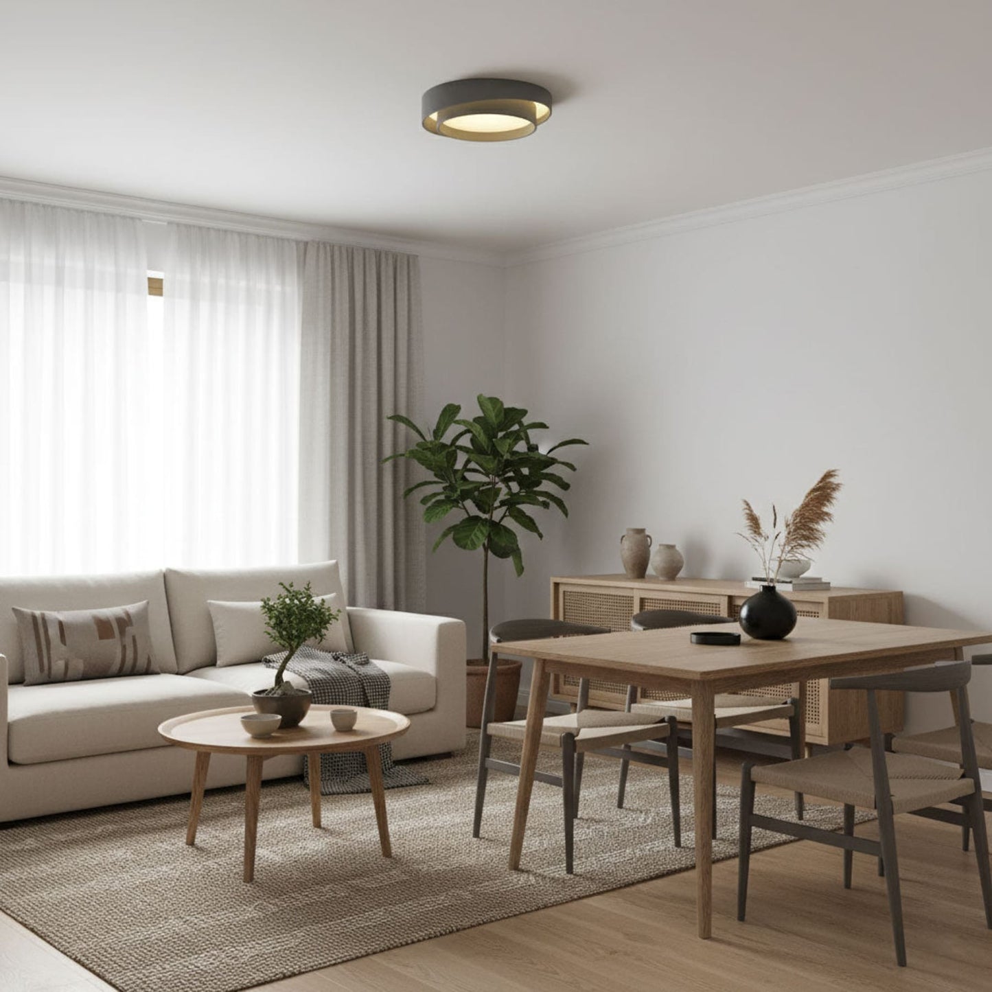 Modern Flush Mount LED Ceiling Light