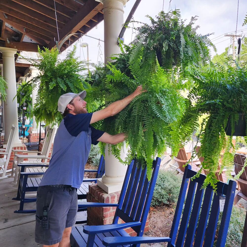 UV Resistant Artificial Boston Fern - 18pc Waterproof Outdoor