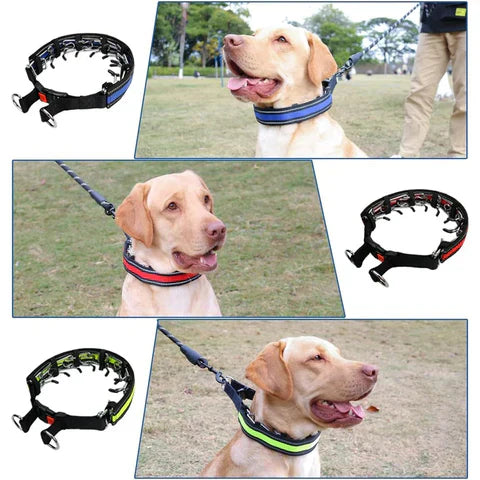 Adjustable Dog Walking Training Collar for Leash Control