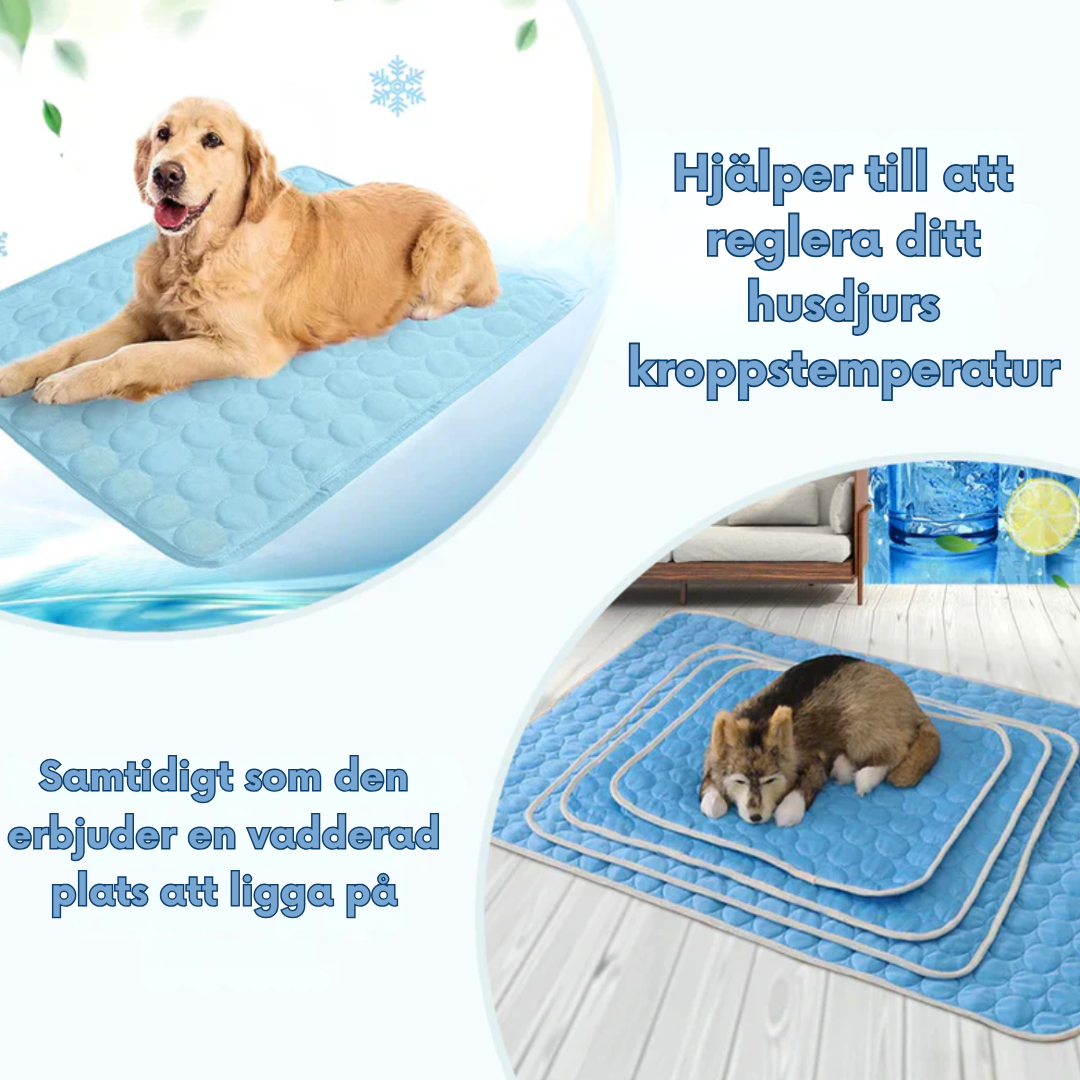Reusable Pet Cooling Mat for Dogs and Cats