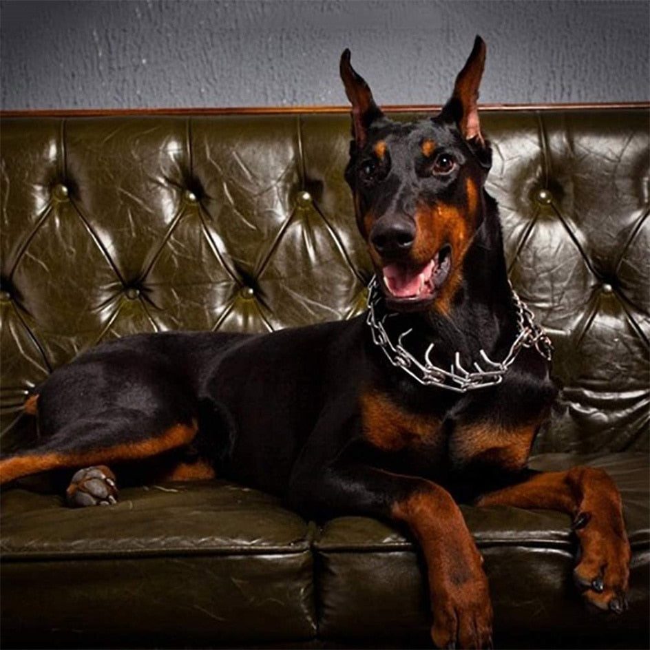 Adjustable Rubber-Tipped Dog Training Collar