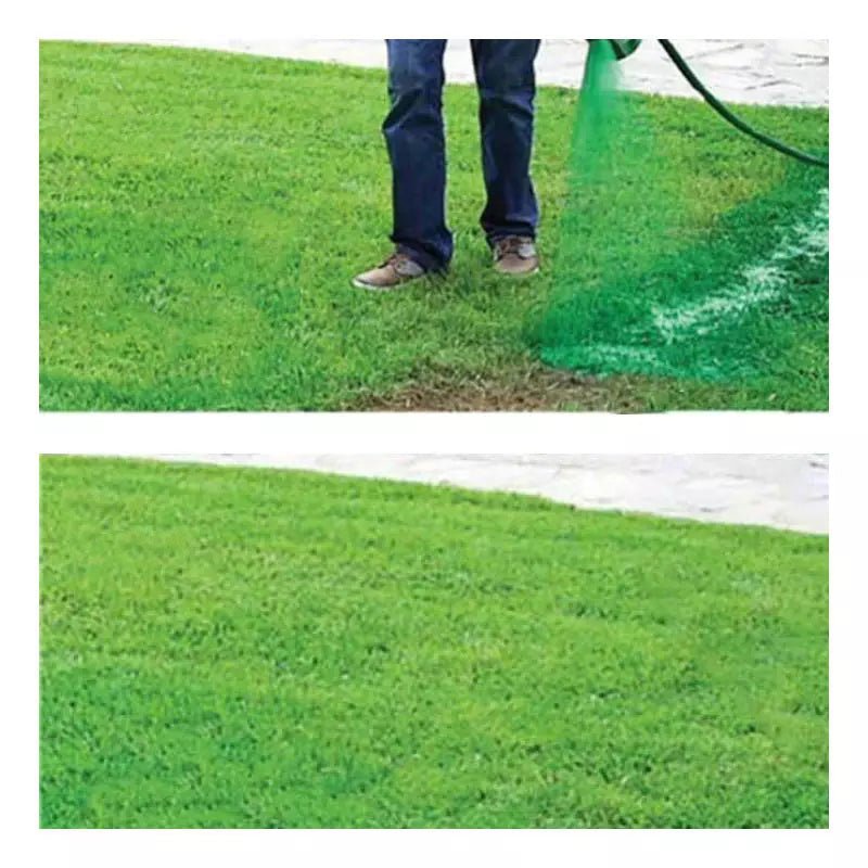 Lawn Seed Spray Kit for Grass Coverage