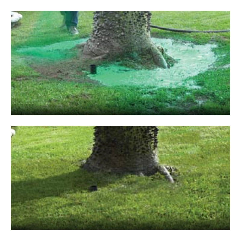 Lawn Seed Spray Kit for Grass Coverage