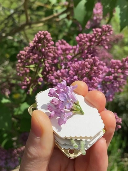 Mini Flower Press - Pocket Botanical Herbarium Keepsake Maker