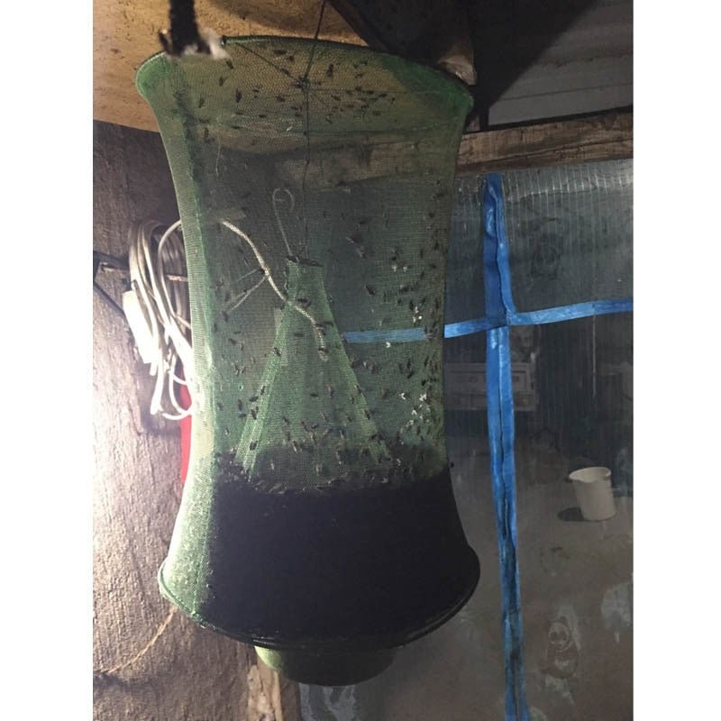 Reusable Hanging Fly Trap Cage