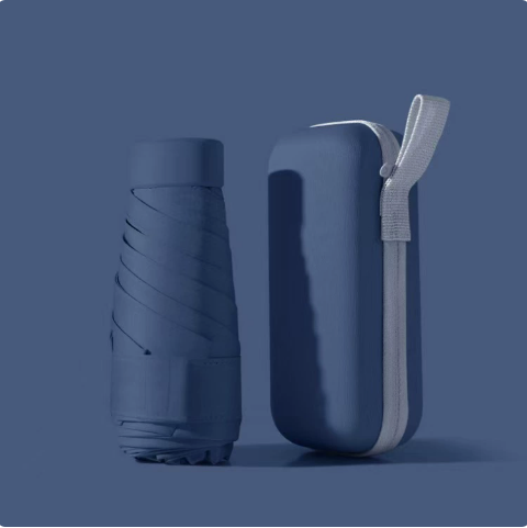 Compact Folding Travel Umbrella with Waterproof Case