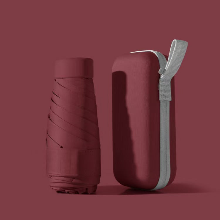Compact Folding Travel Umbrella with Waterproof Case