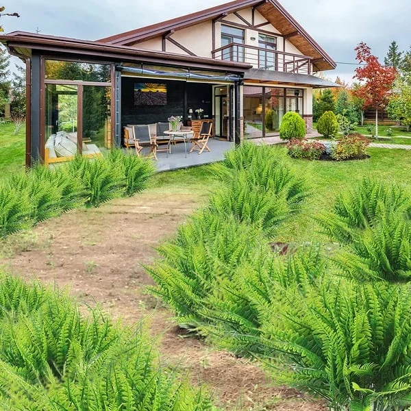 UV Resistant Artificial Boston Fern - 18pc Waterproof Outdoor
