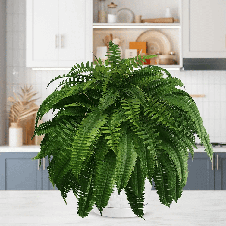 UV Resistant Artificial Boston Fern - 18pc Waterproof Outdoor