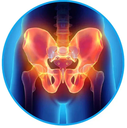Lower Back & Hip Support Compression Belt