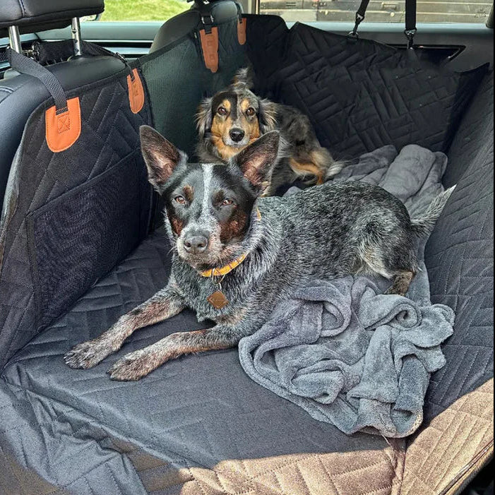 Dog Car Seat Cover – Waterproof Pet Protector with Safety Leash